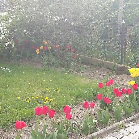 Alom Kucko Apartman زالاجيرسيج المظهر الخارجي الصورة