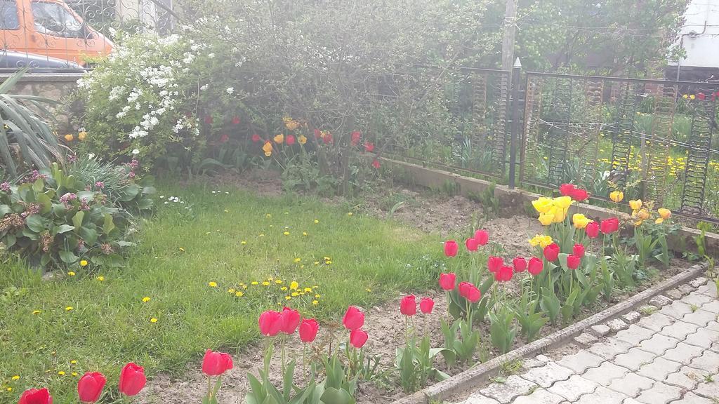 Alom Kucko Apartman زالاجيرسيج المظهر الخارجي الصورة