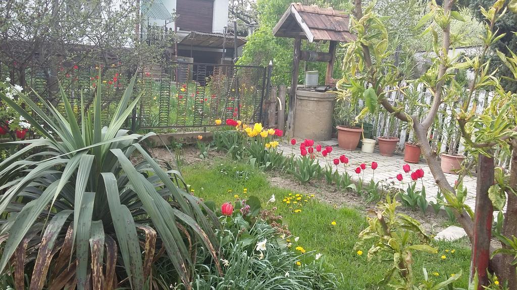 Alom Kucko Apartman زالاجيرسيج المظهر الخارجي الصورة